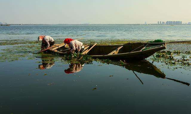 世纪佳缘加的女的炒黄金